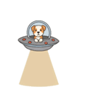 [アレンジ用]UFOで宇宙犬2（個別スタンプ：8）