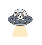 [アレンジ用]UFOで宇宙犬3（個別スタンプ：8）