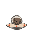[アレンジ用]UFOで宇宙犬3（個別スタンプ：12）