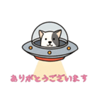[ありがとうございます専用]UFOで宇宙犬3（個別スタンプ：4）