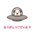 [ありがとうございます専用]UFOで宇宙犬3（個別スタンプ：10）