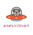 [ありがとうございます専用]UFOで宇宙犬3（個別スタンプ：11）