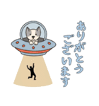 [ありがとうございます専用]UFOで宇宙犬3（個別スタンプ：12）