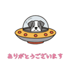 [ありがとうございます専用]UFOで宇宙犬3（個別スタンプ：13）