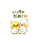 ラブリーチャーミーなオカメインコちゃん（個別スタンプ：8）