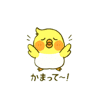 ラブリーチャーミーなオカメインコちゃん（個別スタンプ：11）