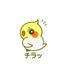 ラブリーチャーミーなオカメインコちゃん（個別スタンプ：14）