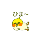 ラブリーチャーミーなオカメインコちゃん（個別スタンプ：23）