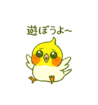 ラブリーチャーミーなオカメインコちゃん（個別スタンプ：24）