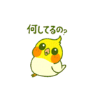 ラブリーチャーミーなオカメインコちゃん（個別スタンプ：25）