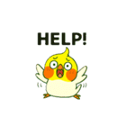 ラブリーチャーミーなオカメインコちゃん（個別スタンプ：28）