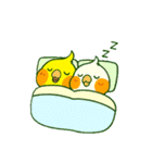 ラブリーチャーミーなオカメインコちゃん（個別スタンプ：29）