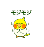 ラブリーチャーミーなオカメインコちゃん（個別スタンプ：31）
