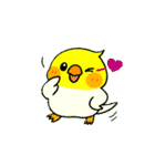 ラブリーチャーミーなオカメインコちゃん（個別スタンプ：39）