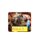 アルさん敬語ver.（個別スタンプ：7）
