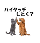 仲良し動物ハイタッチで平和（個別スタンプ：1）