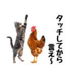仲良し動物ハイタッチで平和（個別スタンプ：7）