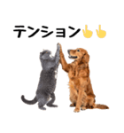 仲良し動物ハイタッチで平和（個別スタンプ：10）
