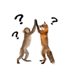 仲良し動物ハイタッチで平和（個別スタンプ：16）
