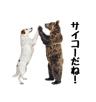 仲良し動物ハイタッチで平和（個別スタンプ：22）