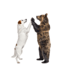 仲良し動物ハイタッチで平和（個別スタンプ：28）