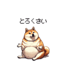 三河弁の太っちょ柴犬（個別スタンプ：2）