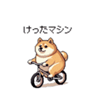 三河弁の太っちょ柴犬（個別スタンプ：6）