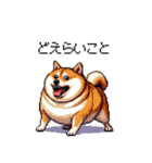 三河弁の太っちょ柴犬（個別スタンプ：8）