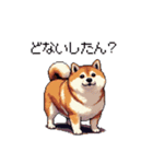 三河弁の太っちょ柴犬（個別スタンプ：9）