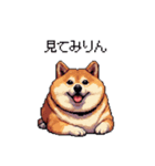 三河弁の太っちょ柴犬（個別スタンプ：22）