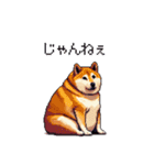 三河弁の太っちょ柴犬（個別スタンプ：23）