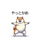 三河弁の太っちょ柴犬（個別スタンプ：25）