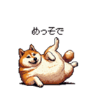 三河弁の太っちょ柴犬（個別スタンプ：26）