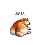 三河弁の太っちょ柴犬（個別スタンプ：27）