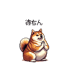 三河弁の太っちょ柴犬（個別スタンプ：29）