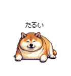 三河弁の太っちょ柴犬（個別スタンプ：34）