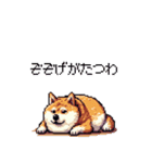 三河弁の太っちょ柴犬（個別スタンプ：40）