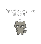 塩ねこ（個別スタンプ：14）