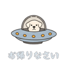 [お帰りなさい専用]UFOで宇宙犬2（個別スタンプ：4）