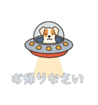 [お帰りなさい専用]UFOで宇宙犬2（個別スタンプ：6）
