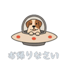 [お帰りなさい専用]UFOで宇宙犬2（個別スタンプ：12）