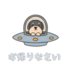 [お帰りなさい専用]UFOで宇宙犬2（個別スタンプ：13）