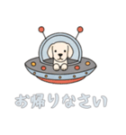 [お帰りなさい専用]UFOで宇宙犬2（個別スタンプ：14）