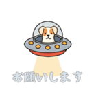 [お願いします専用]UFOで宇宙犬2（個別スタンプ：1）