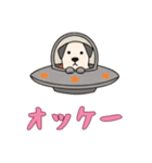 [オッケー専用]UFOで宇宙犬3（個別スタンプ：1）