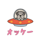 [オッケー専用]UFOで宇宙犬3（個別スタンプ：3）