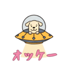 [オッケー専用]UFOで宇宙犬3（個別スタンプ：4）