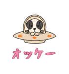 [オッケー専用]UFOで宇宙犬3（個別スタンプ：5）