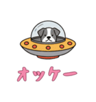 [オッケー専用]UFOで宇宙犬3（個別スタンプ：8）