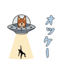 [オッケー専用]UFOで宇宙犬3（個別スタンプ：9）